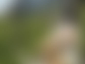 Costume Lookbook (JORGE)