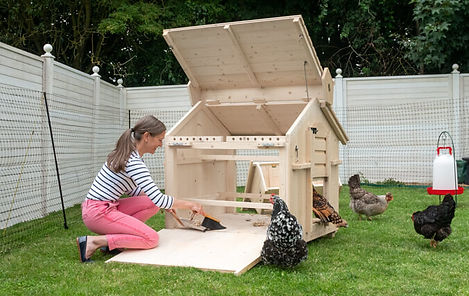 wooden-chicken-coop-easy-clean-design.jpg