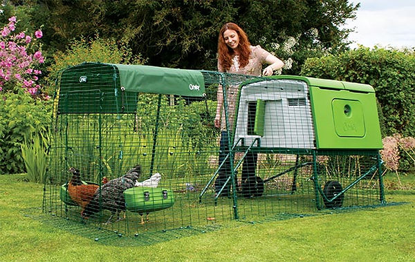 omlet_Eglu_Cube_for sale.jpg