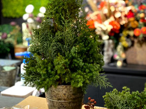 ワンデイレッスンご好評です＊