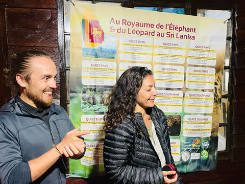 Éléphant et Léopard du Sri Lanka 