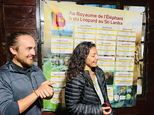 Éléphant et Léopard du Sri Lanka 