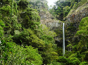 montagne d'ambre.jpg