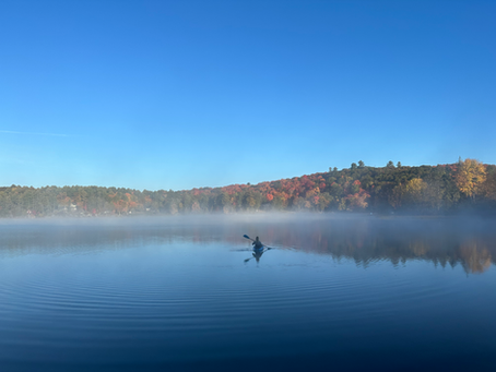 A lake in Muskoka