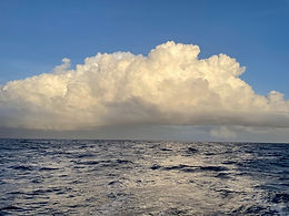 thumbnail_IMG_7599.jpg