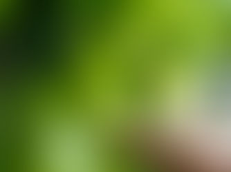 What are ESG Goals and Why Are They Important?