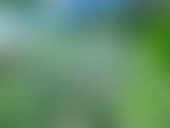 What are Eco-Friendly Building Materials?