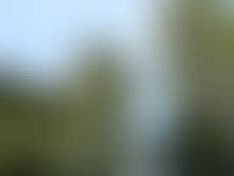 How Eco-Friendly Buildings Foster Sustainable Living