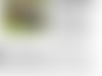 Leine Zeitung 09.09.2015