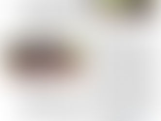 Wir stellen uns vor...