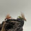 Thumbnail: Flies