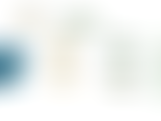 Asset Information and traceability, what should I record in my asset register? And to what level?