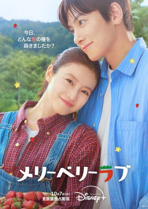 Merry Berry Love Poster