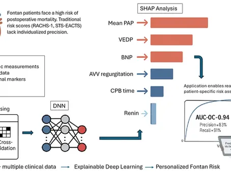 Sztuczna inteligencja i jej zastosowanie. Najnowsza publikacja w Journal of Cardiovascular Development and Disease