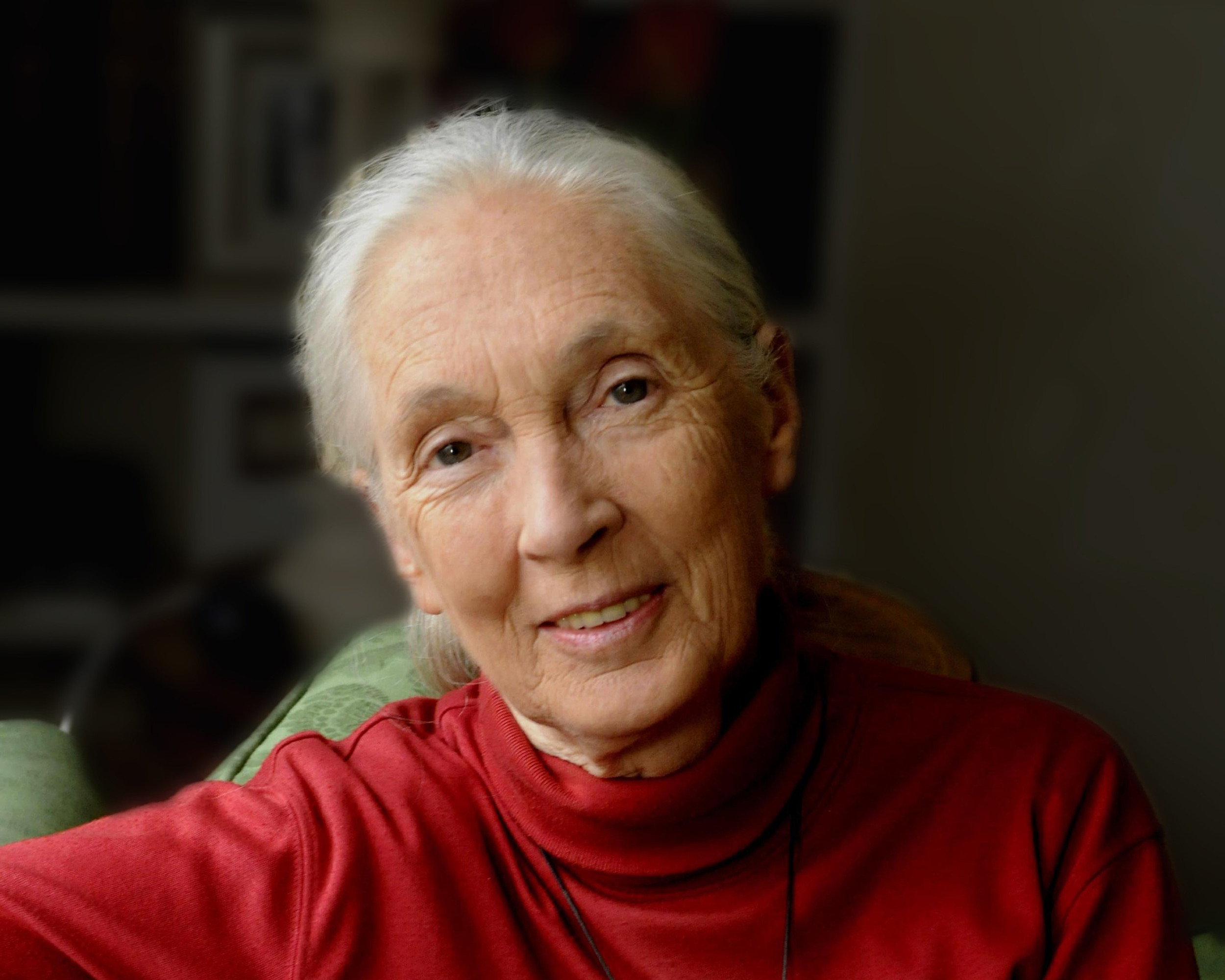 Santo Goodallさん専用 Purchase Tickets for Dr. Jane Goodall | Arizona Speaker Series