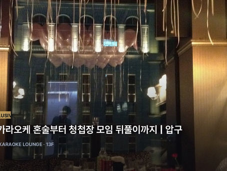 강남 룸 가라오케 혼술부터 청첩장 모임 뒤풀이까지 | 압구정 가라오케 10년 베테랑 최실장의 완벽 방음·하이엔드 사운드 가이드