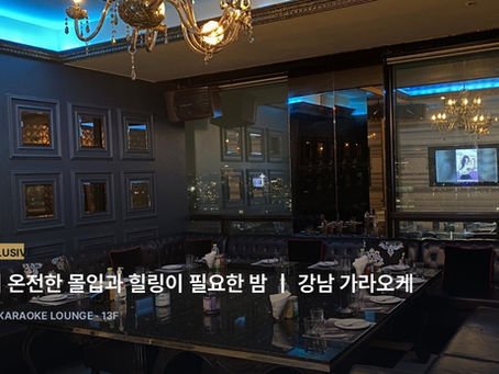 혼자만의 온전한 몰입과 힐링이 필요한 밤 | 강남 가라오케 도산공원사거리 1인 혼술 입문 가이드