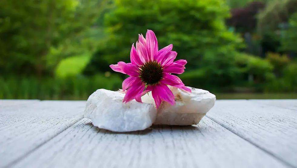 Awaken Your Bliss Retreat