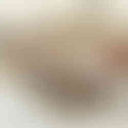 Elegant wedding dessert catering in Brisbane with signature desserts, mini sweets, and refined dessert table styling.