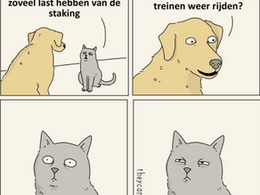 Political Meme Toolkit: Leftist Dutch Meme Makers Share Their Trade Secrets