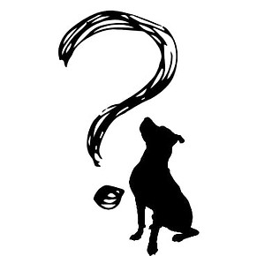 Immagine WhatsApp 2025-04-14 ore 15.56.45_bd72d1dc.jpg