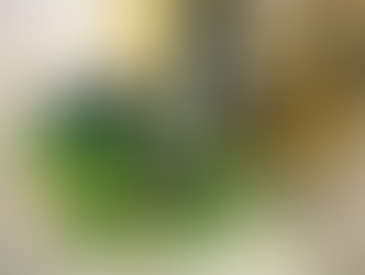 Βαρελίσιο κρασί! vol 2 Κάθε ποτήρι είναι φρέσκο! 