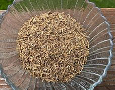 Power Seed For Today!