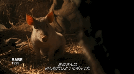 ezgif-4-8927074456.gif