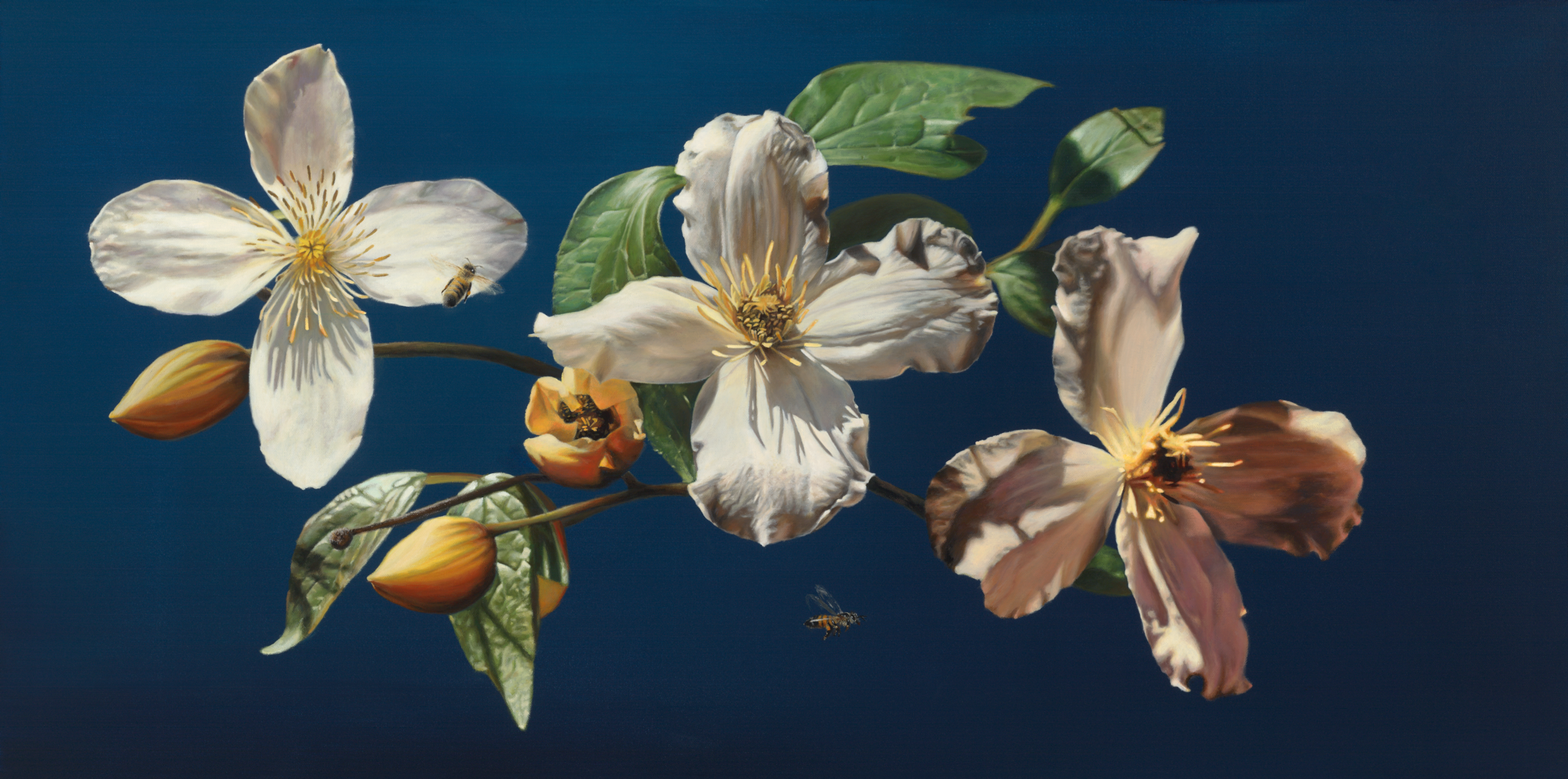Botanical Scene: A Study
