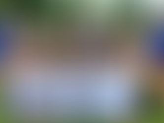 Lackey's four-inning no-hitter in Logan's 11-1 win over South Carolina in Southeast Regional