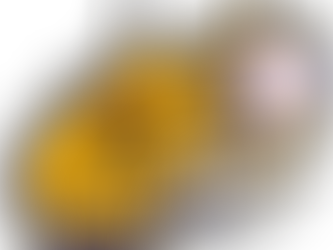 Man defeats Jefferson, 4-2, advances to Little League Softball State Championship