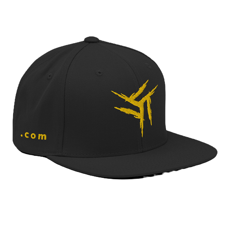 classic-snapback-black-right-front-66cf601c0e97c_edited.png