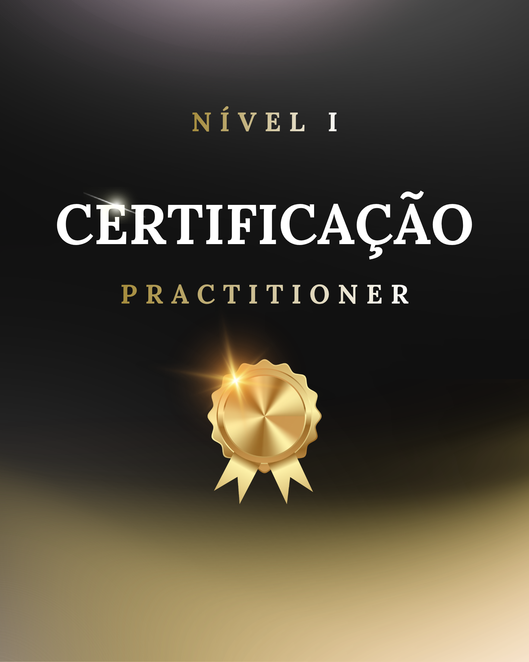 Certificação Practitioner - Módulo I