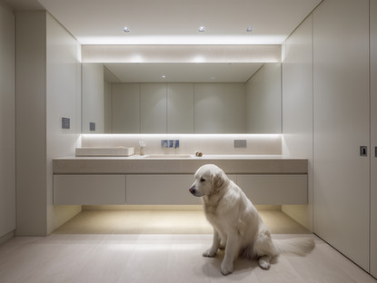 AB powder white labrador 1.jpg