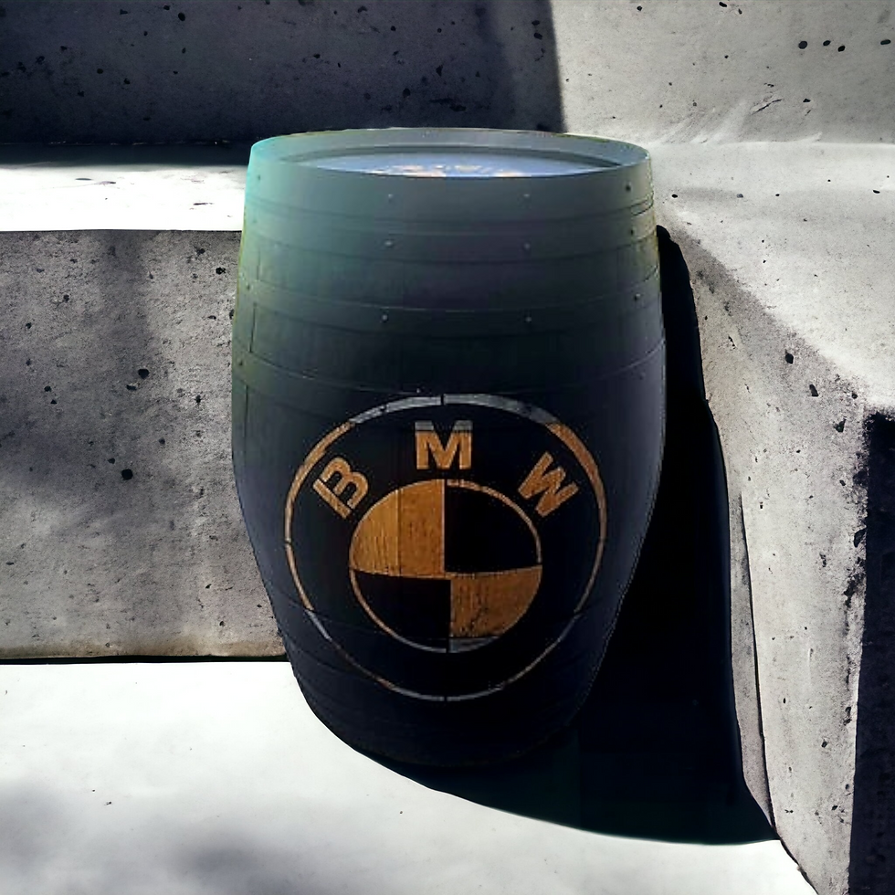 Tonneau bar BMW