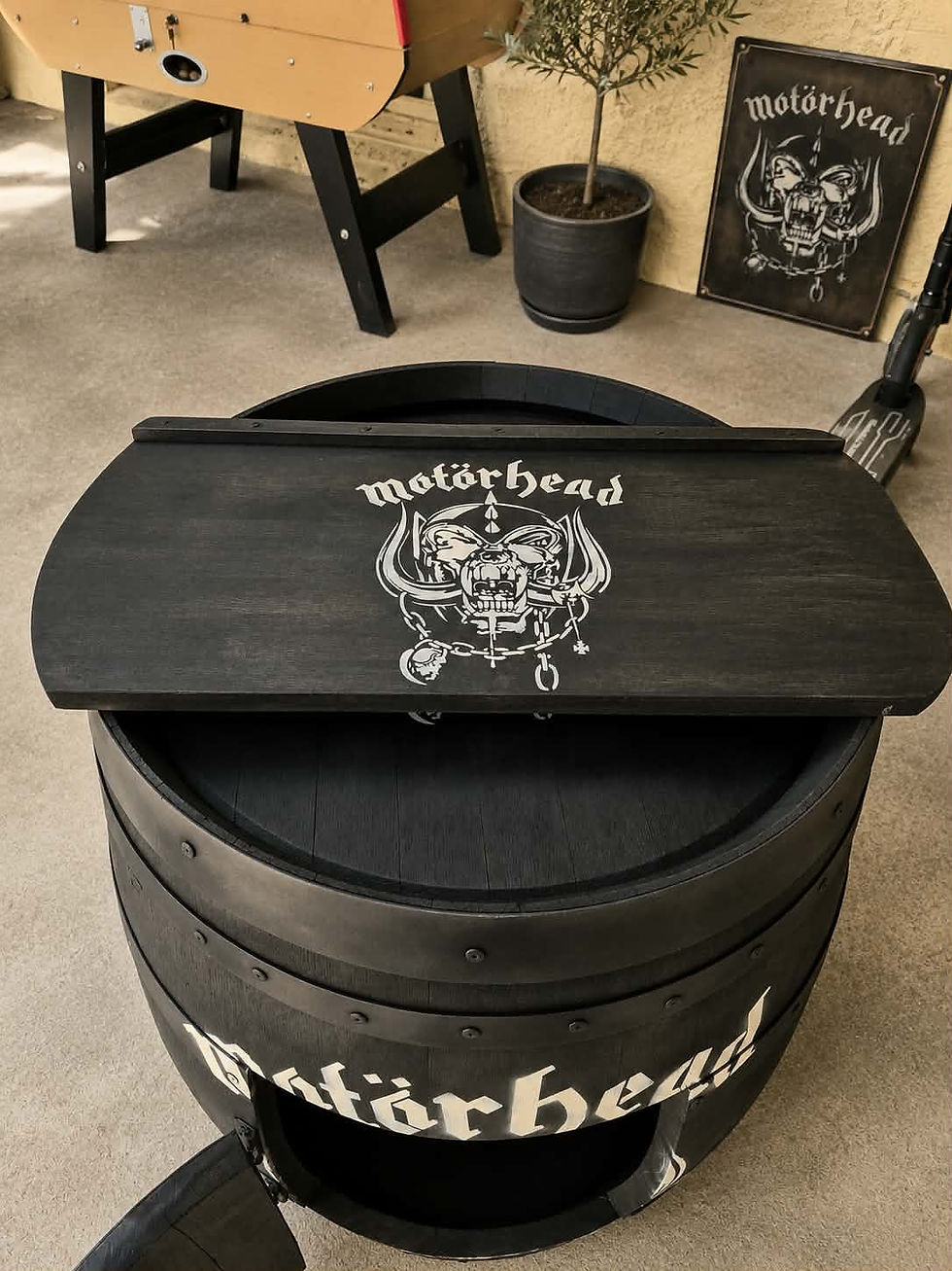 Miniature : Tonneau Bar Motorhead
