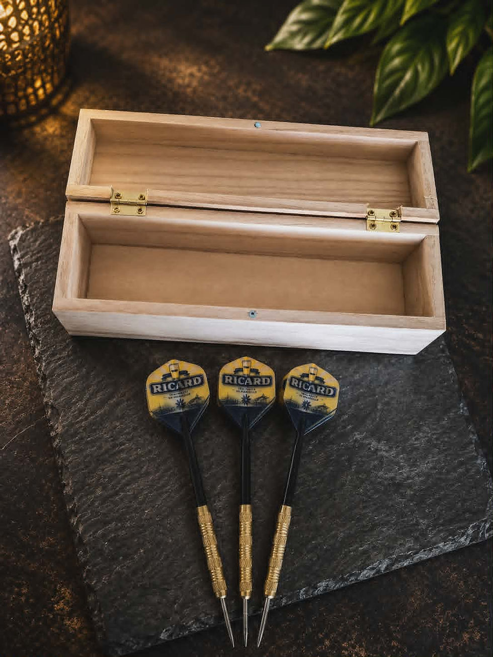 Miniature : Coffret 3 flechettes ricard