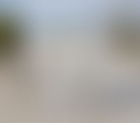 KANITHAPPEN - Lovely 16.1 hand hand grey boy