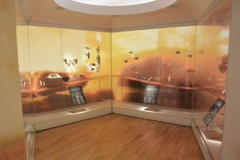 musée de l'homme, paris, visite test