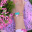Thumbnail: AMOR bracelet