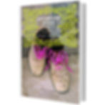 Thumbnail: Adventure Divas Book