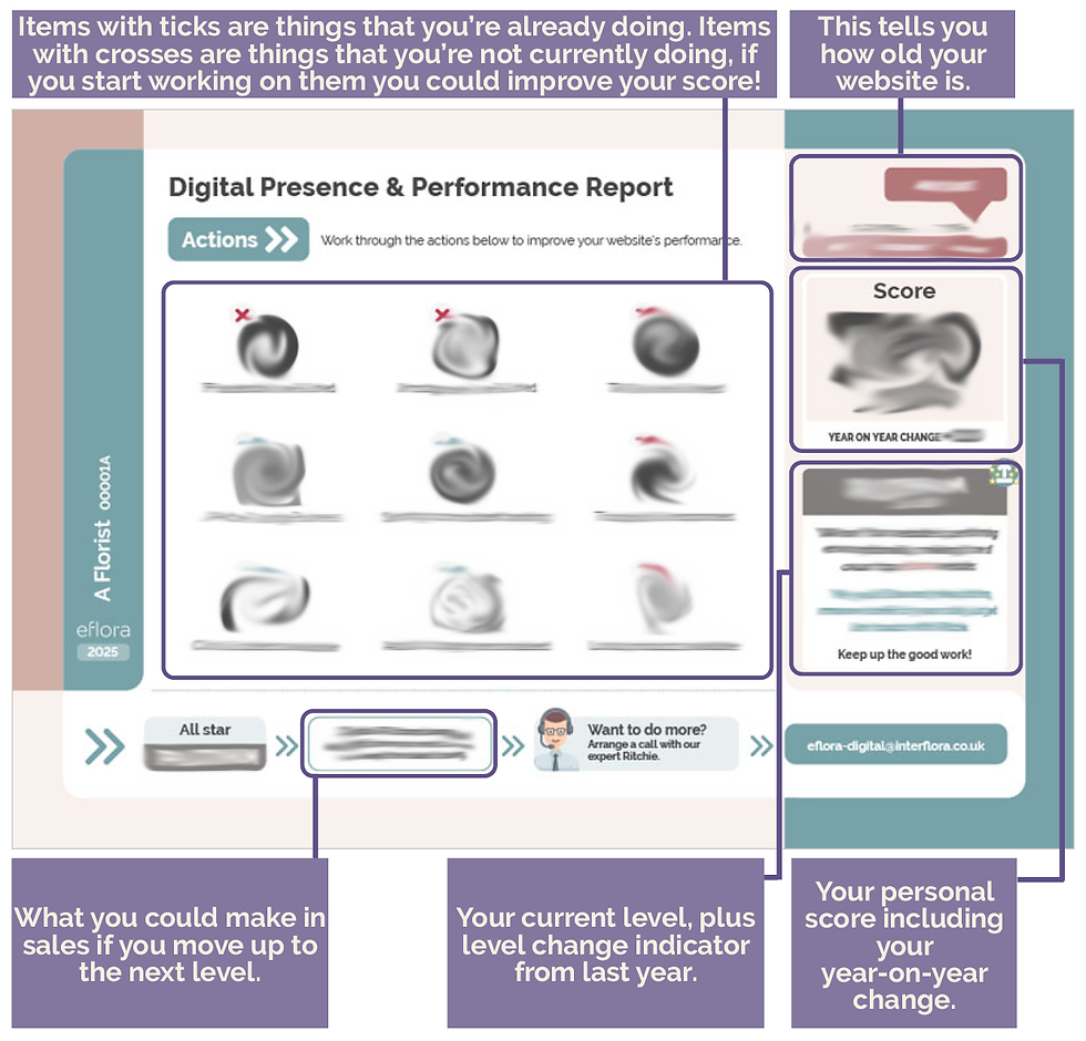 Example Digital Presence and Performance Report