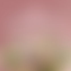 Free digital assets for florists example