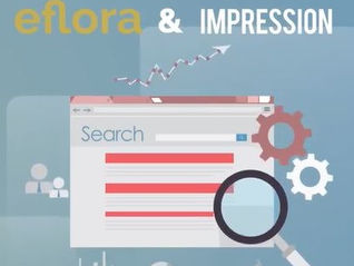 Introducing our SEO experts!