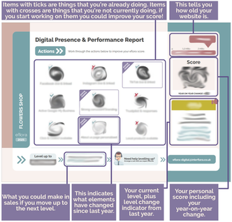 Example Digital Presence and Performance Report