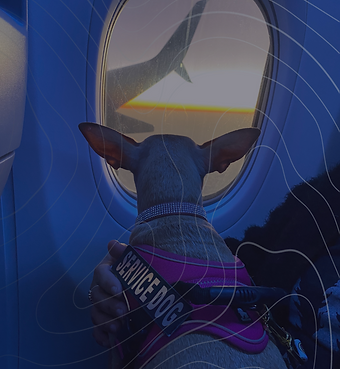 Untitled design (10).png