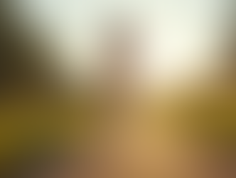 Transform Your Fitness Journey with Personalized Plans