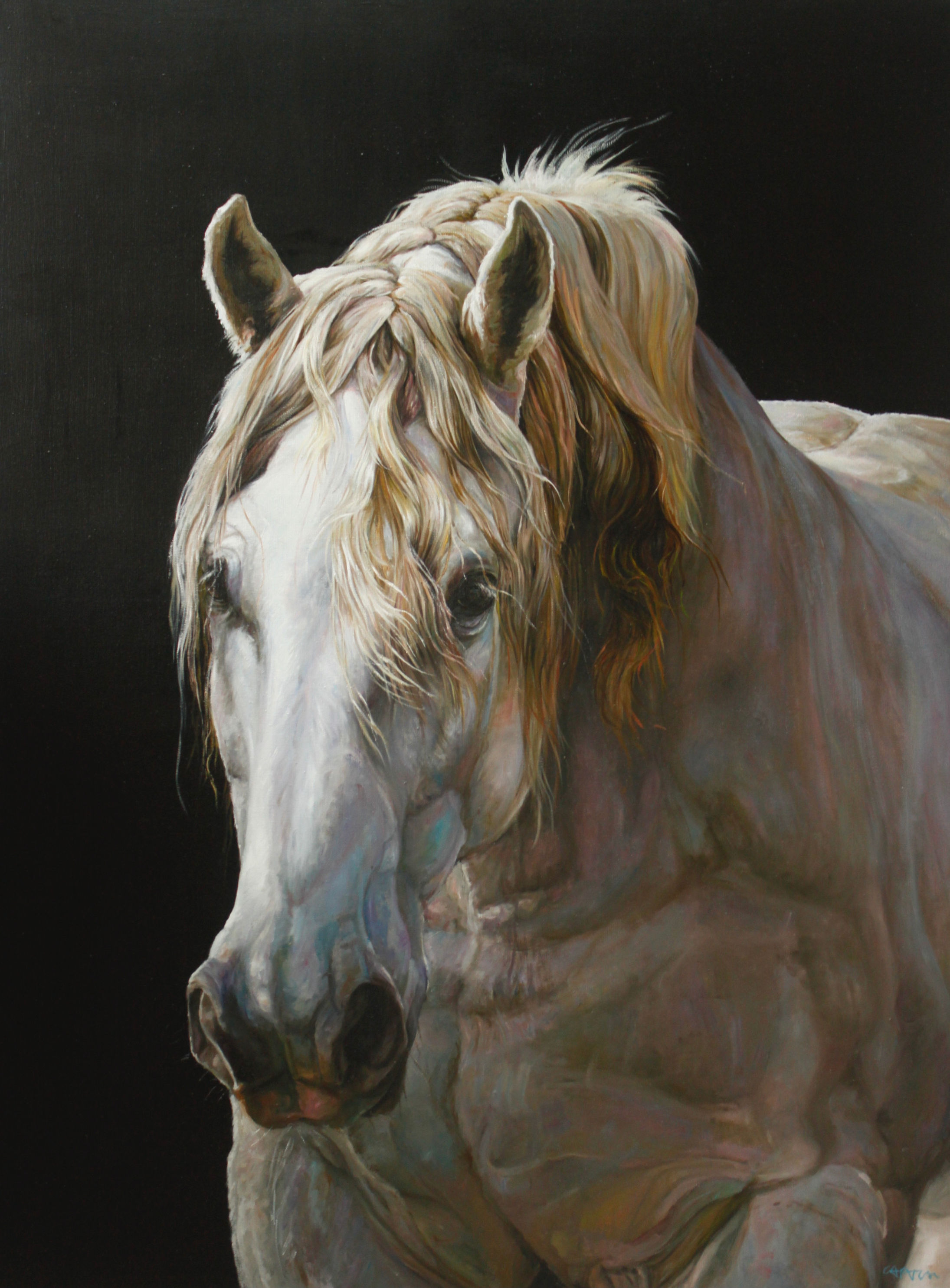 21007-PERCHERON DE 3/4-huile sur toile de lin-97x130cm