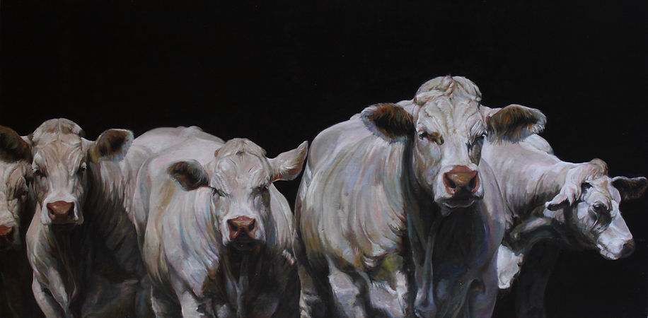 19044-troupeau charolais-80x160 cm-4400euros copie.jpeg
