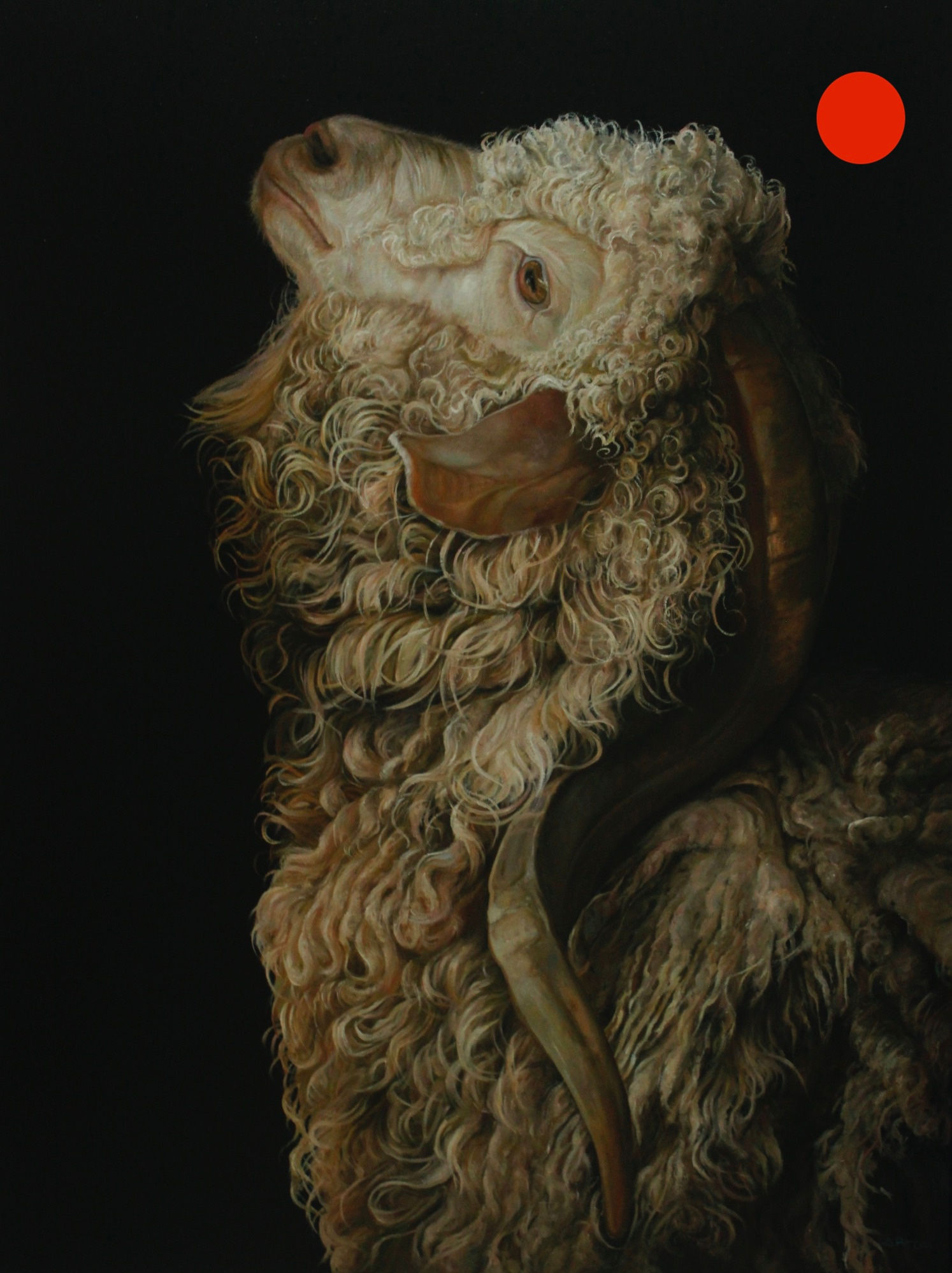 25059-ULYSSE (bouc angora)-huile sur toile de lin-97x130cm